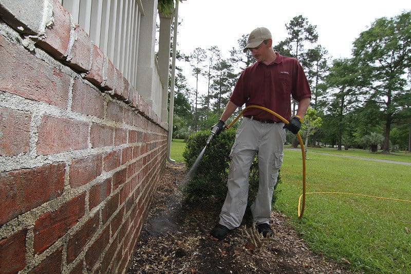 Pest Control Services seasonal safe house program, fleas, rodents, bed bugs